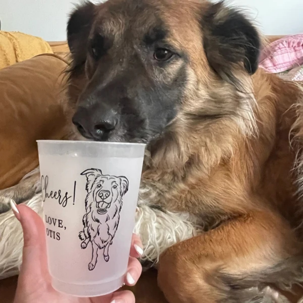10/50 gepersonaliseerde matte  - Plastic Cup 50Pcs recensie en prijs